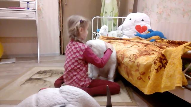 Щенок САО (алабай) ЛАШКАР АППАК ИЗ ФОМКИНО (ака Ластик) 2 мес. смотреть онлайн