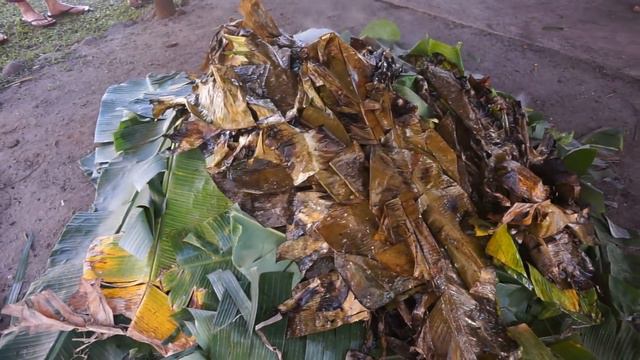 SAMOA: How to cook food in EARTH OVEN or UMU (Pacific) смотреть онлайн
