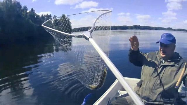 Озеро Вельё летом 2021 смотреть онлайн