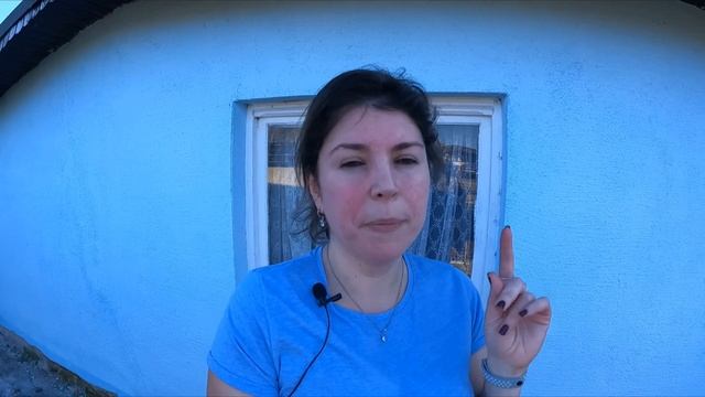 Дача - жара, костёр, гриль - что может быть лучше? Если бы не одно "но"... //Наша дача в Германии смотреть онлайн