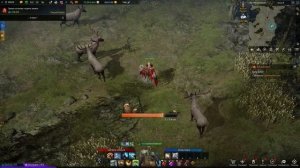 Lost Ark археология, часть 1 / Где выгоднее всего фармить ресурсы в Лост Арк?