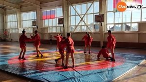 Показательное выступление демонстрационного самбо