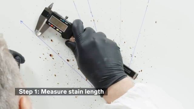 Bloodstain Patterns Analysis_Part II смотреть онлайн