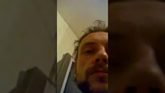 макс кот смотреть онлайн