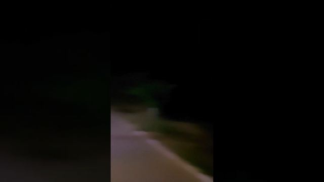 Ульяновск Сосны парк 40 лет победы смотреть онлайн