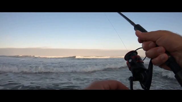 Gulp Sand Worms #1 Bait for Surf Perch?