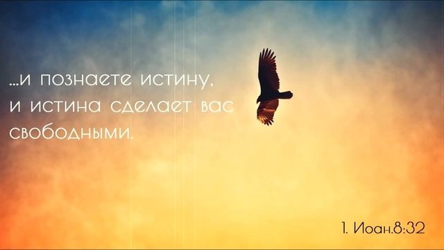 Арнольд Благодыр-Проклятие и благословение во власти языка смотреть онлайн
