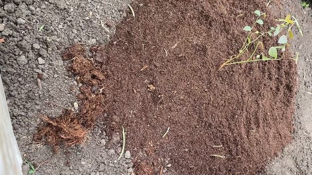 Грибные находки