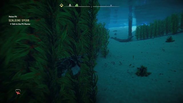 Horizon Forbidden West - Secret quest смотреть онлайн