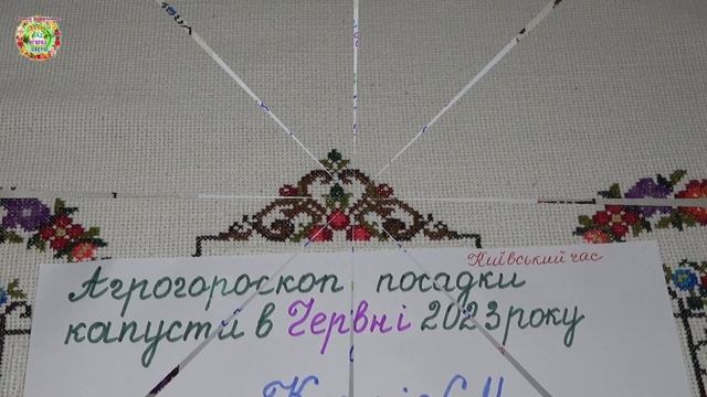 Агрогороскоп посадки рассады капусты в июне 2023 года. Агрогороскоп посадки капусти в червні 2023 смотреть онлайн