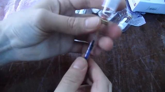 Разведение синодонтов. Часть 2. смотреть онлайн