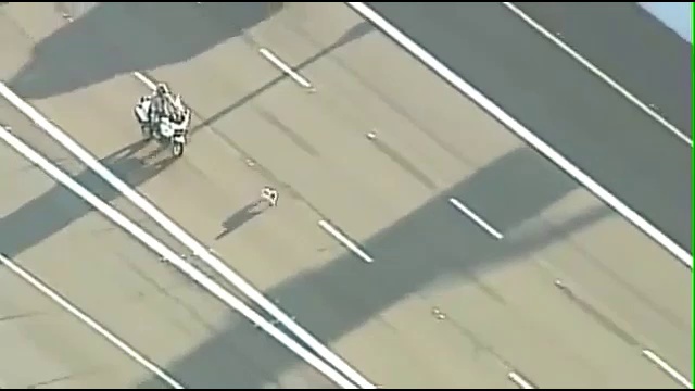 Погоня за псом смотреть онлайн