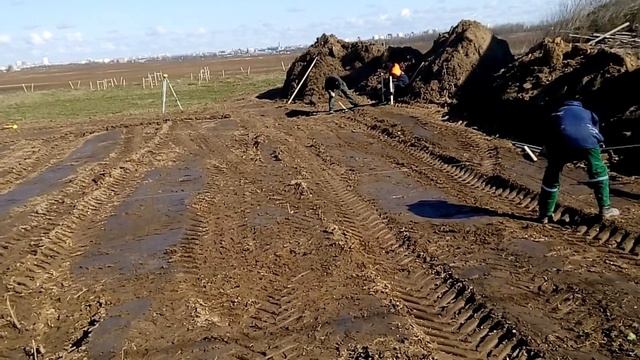 №016. ТИСЭ. Разметка участка под строительство дома. Часть 1. смотреть онлайн