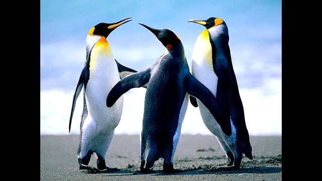 Анекдоты 4 часть смотреть онлайн