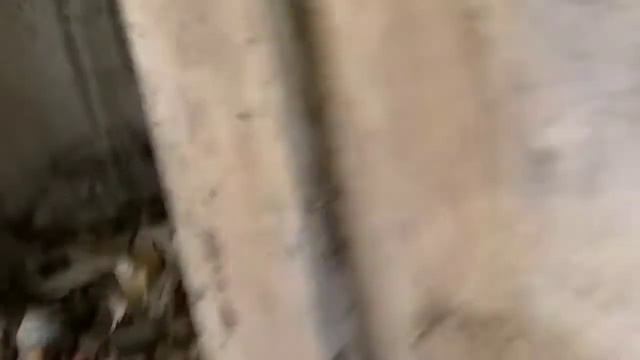 Интересная поездка в с. Липняжка. смотреть онлайн