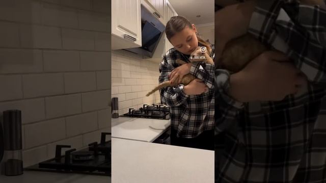 Тыквенный крем-суп ?