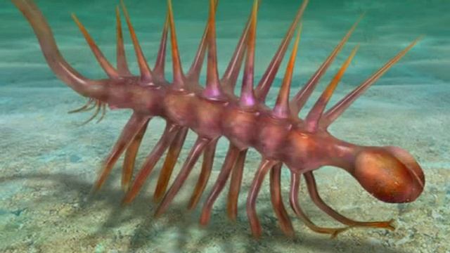 Hallucigenia , Hallucigenia смотреть онлайн