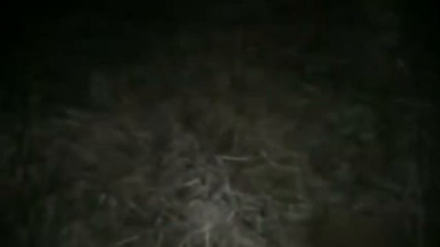 Прекрасные находки на вечернем выходе, редкие монеты. смотреть онлайн