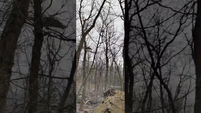 Армия России