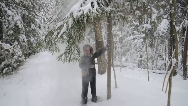 Nikon D5000, тест видеорежима / Nikon D5000 video test смотреть онлайн