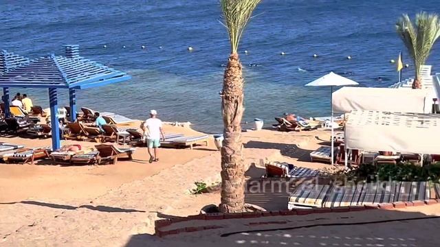 Свежий обзор отеля Grand Oasis в Шарм Эль Шейх. Экскурсии в Шарм Эль Шейх смотреть онлайн