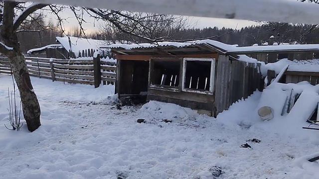 как живут коровки в -15 смотреть онлайн