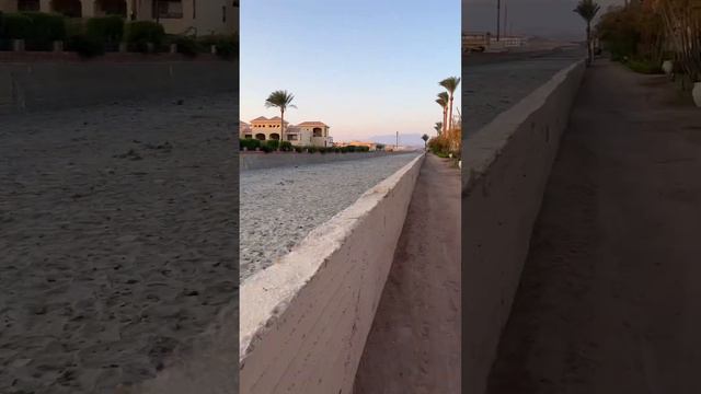 Утренняя прогулка вдоль берега Красного моря. смотреть онлайн