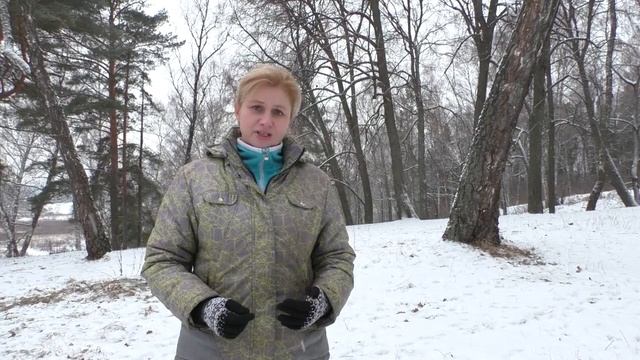 10 правил игры с собакой _ Дрессировка собак.mp4