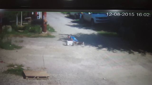 Краш тест: Виктор Моц vs Segway смотреть онлайн