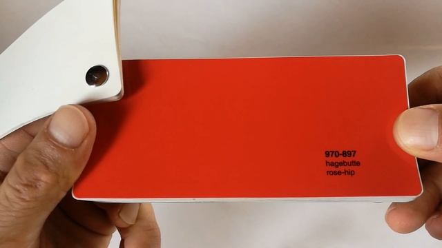 ORACAL® Rose-hip 970-897 смотреть онлайн