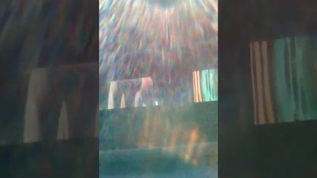 работа чип-карты рено сценик 2 после ремонта) смотреть онлайн