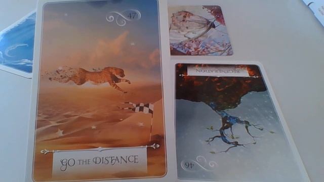 Minivzkaz s Wisdom of the Oracle a Butterfly Affirmations смотреть онлайн