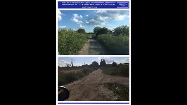 Ферма крупного рогатого скота Коряково смотреть онлайн