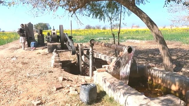 desi starting old engine || startup big double engine || on tubewell agriculture of Punjab village смотреть онлайн