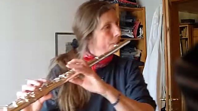 my new yamaha flute - meine neue yamaha querflöte смотреть онлайн