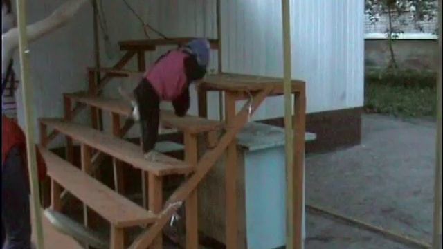 Американский кокер спаниель Стилиш Файн Квин (Леди). Занятие по дрессировке. Тольятти, лето 2008. смотреть онлайн