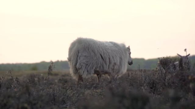 13 октября Григорьев день. Григорий Соломенный. Народные запреты, приметы, традиции и обряды. смотреть онлайн