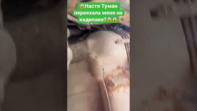?Настя Туман переехала меня на кадилаке? #настятуман #shorts смотреть онлайн