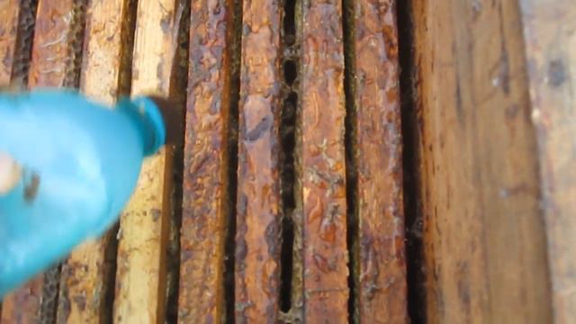 Как обработать пчёл Бипином-Т от клеща варроа. Осенняя профилактика на пасеке. смотреть онлайн