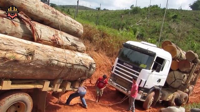 World's Dangerous Biggest Logging Wood Truck Operator Skills, Fastest Climbing Wood Truck Driving
