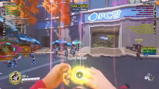 D.Va Army смотреть онлайн