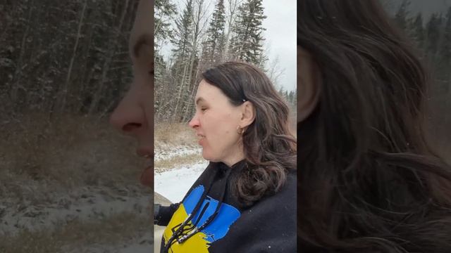 Засыпаю за рулем( смотреть онлайн