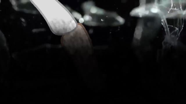 PMV-Скажи,что ты моя... смотреть онлайн