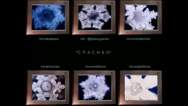 Правильное образование Вада смотреть онлайн