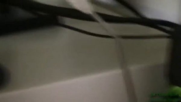 Logitech X-230 Speakers