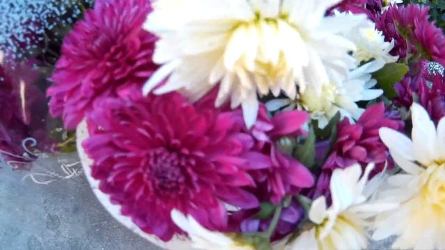 Два шикарных пышных букета из хризантем смотреть онлайн