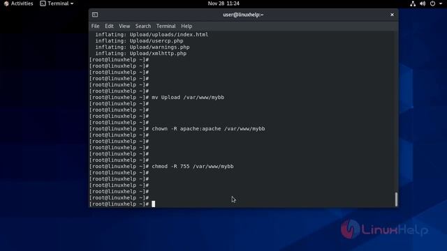 How to install and Configure MyBB CMS on CentOS 8.1 смотреть онлайн