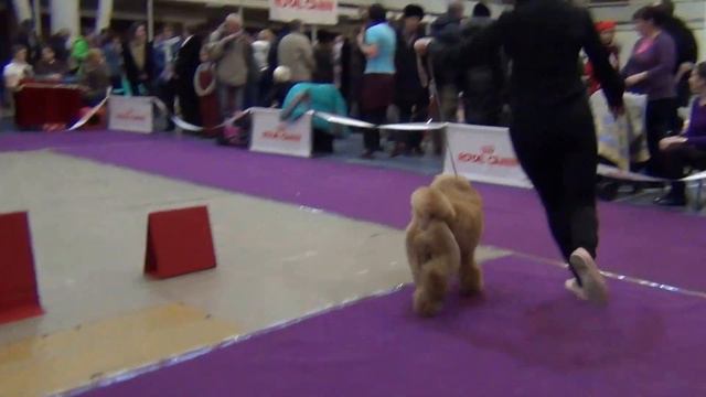 00052 Моно Екб.2015. VIKONT IZ MIMOLETNOGO VIDENIJA смотреть онлайн