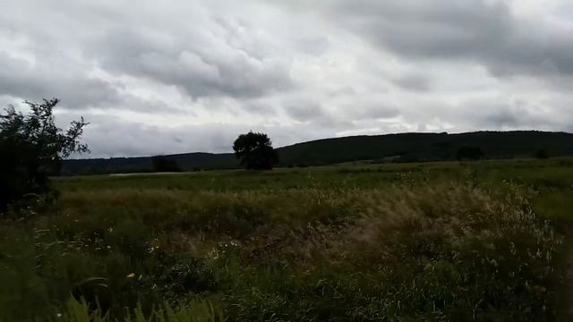 Общение с Мёртвыми самостоятельно смотреть онлайн