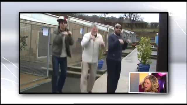 gege rappe смотреть онлайн